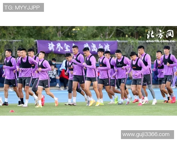 上海排球队灵活性引发热议球迷与专家观点交锋分析