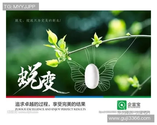 上海排球队的蜕变与重生:从传统强队到现代竞技的转型之路